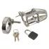 You2Toys Chastity Cage - fém péniszketrec lakattal, férfi erényöv