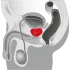 You2Toys - Prostate massager - forgó prosztata vibrátor (fekete)