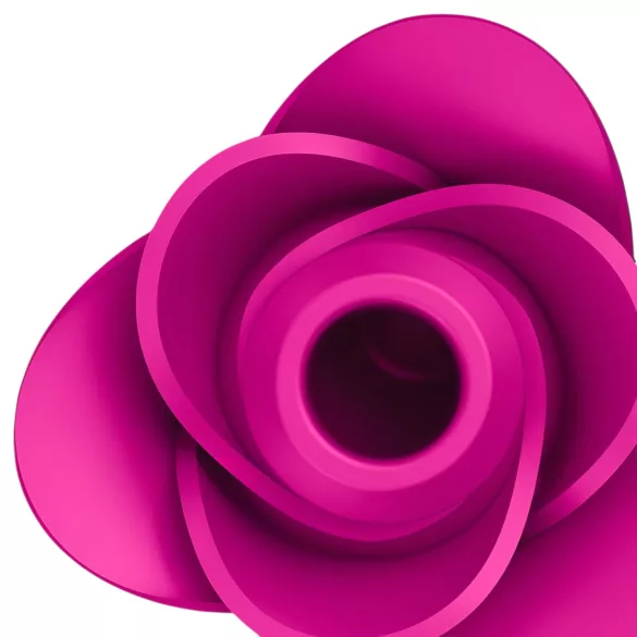 Satisfyer Pro 2 Modern Blossom - léghullámos csiklóizgató (pink)