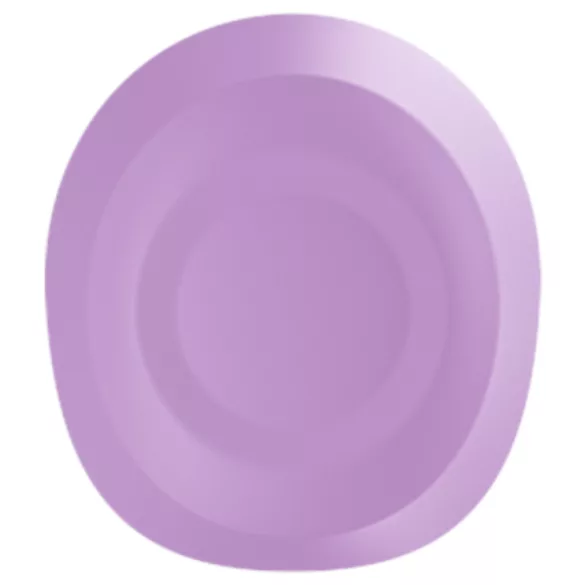 Satisfyer Pro 2 Gen4 - App-vezérelt léghullámos csiklóizgató (lila)