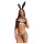 Obsessive Night Bunny - négyrészes nyuszi jelmez nőknek (fekete)
