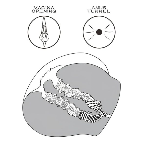 Lovetoy Streetgirl's 12 - művagina torzó és tanga (sötét natúr)