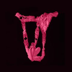 Realov Lydia - okos pillangó vibrátor (pink)